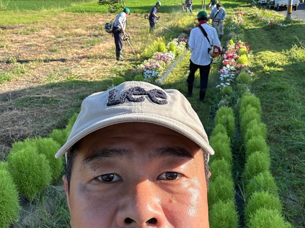 晴天の地域花壇の草刈り
