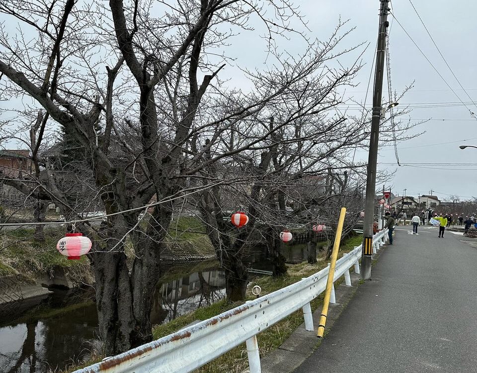 高田桜まつり提灯飾り