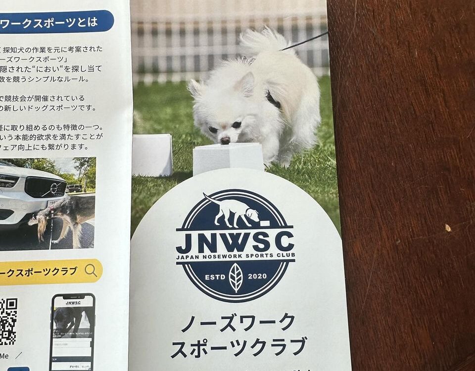 ノーズワークスポーツクラブ訓練