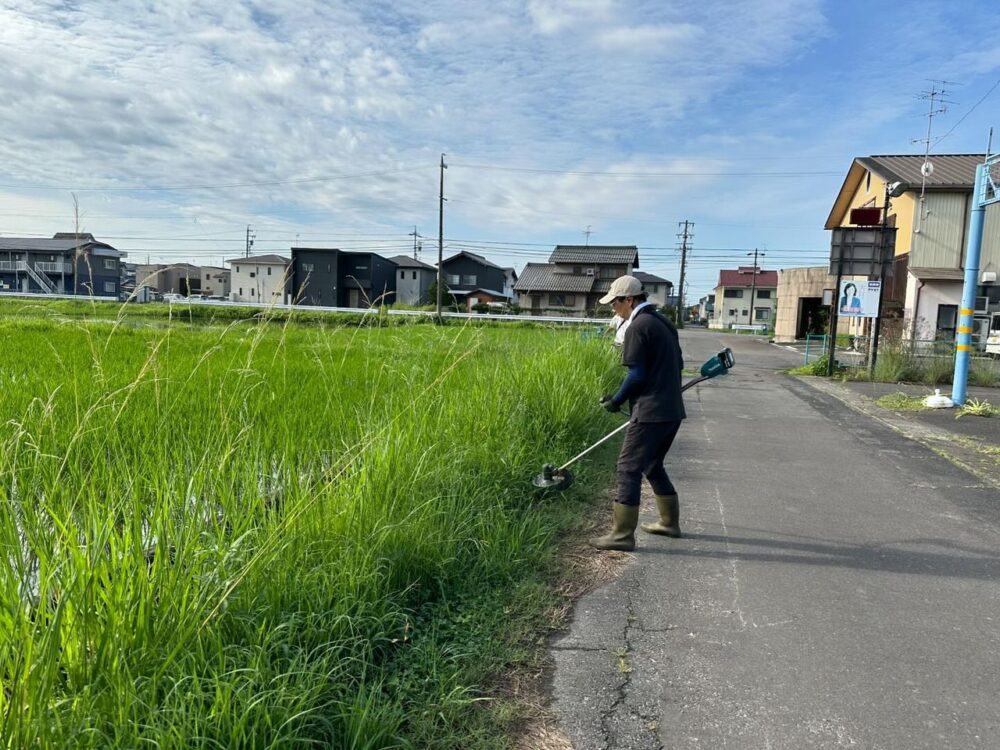 早朝草刈り