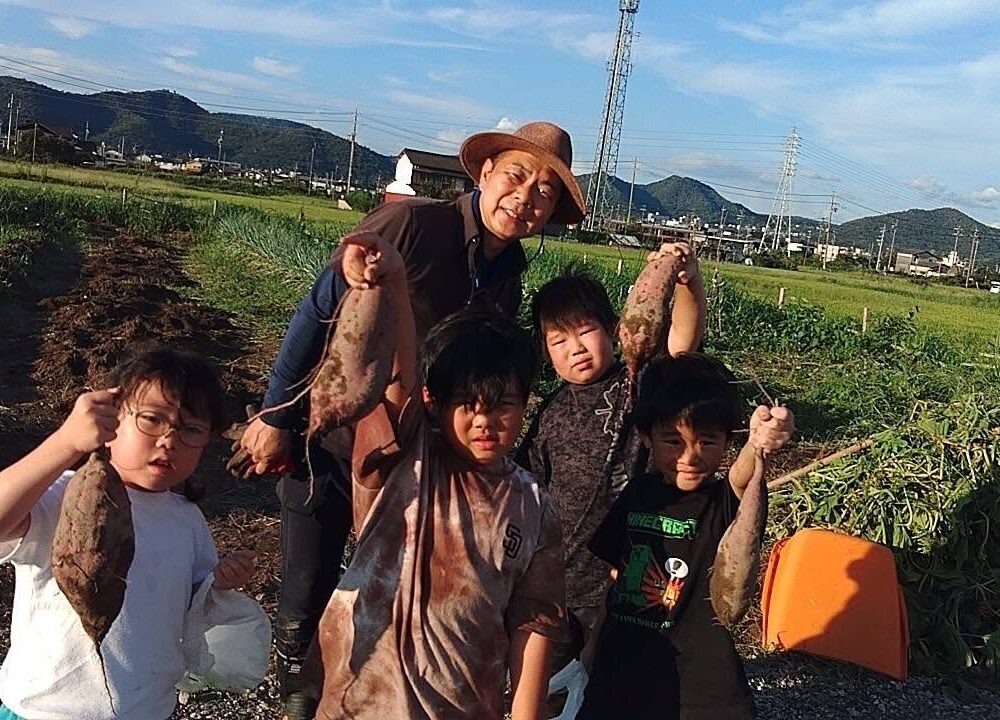 さつまいもの収穫