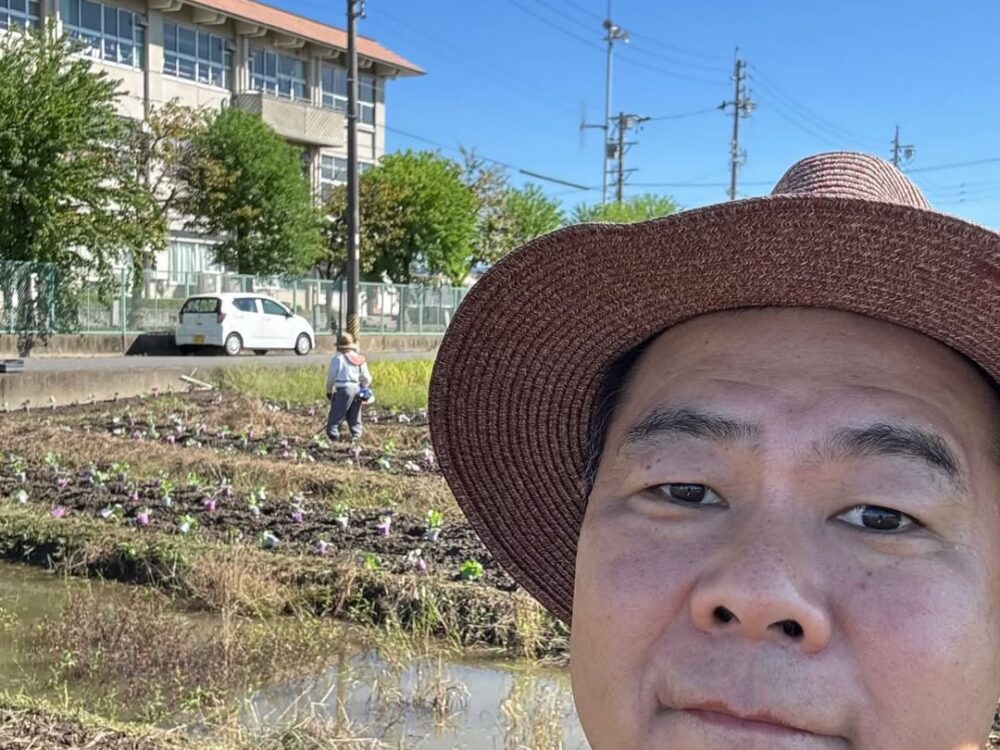 葉牡丹植え